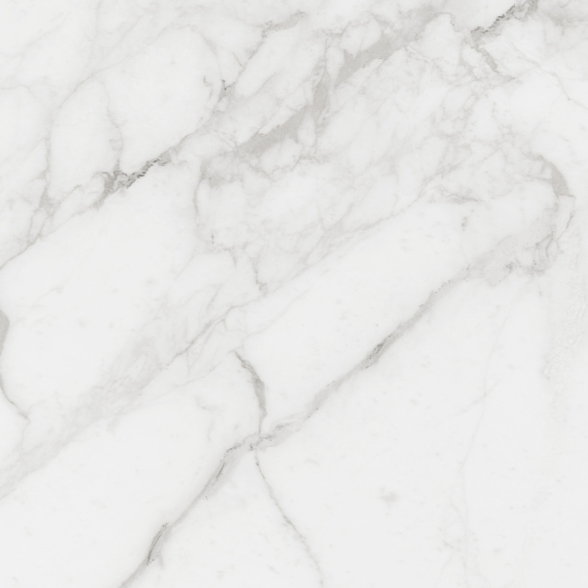 白加賀　貴陽　2本　ドット Плитка Golden Tile Calacatta Extra белый 60,7х60,7 купить в Киеве